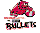 Team Logo